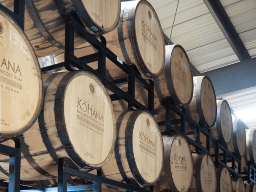 Kohana rum barrels in a storage room